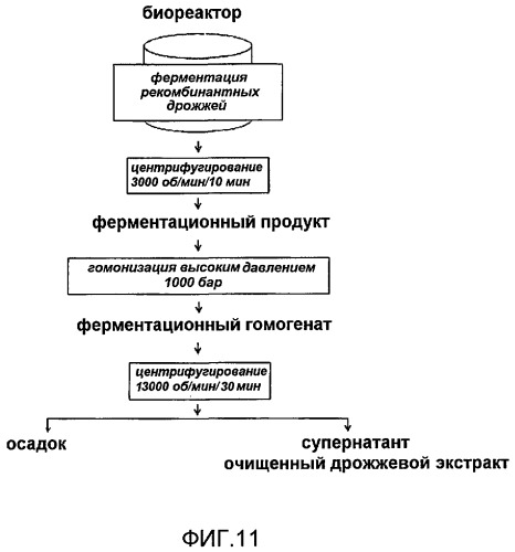 Микровезикулы, полученные из рекомбинантных дрожжей, обладающие гемостатическими активностями, и их применение (патент 2492184)