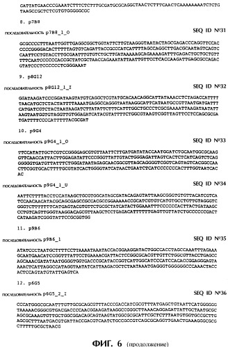 Vgc2 днк salmonella typhimurium, мутантная бактерия, обладающая пониженной способностью к адаптации к условиям окружающей среды, и способ ее получения (патент 2370541)