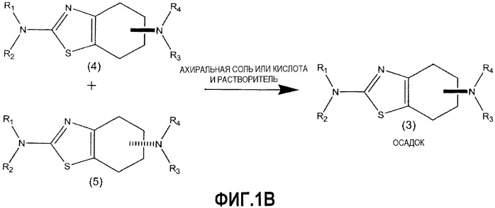 Синтез хирально очищенных замещенных бензотиазолдиаминов (патент 2454409)