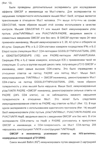 Способ усиления иммунного ответа млекопитающего на антиген (патент 2370537)