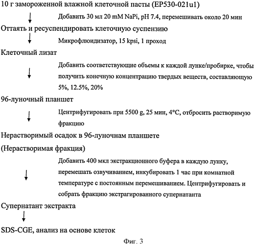 Способ получения растворимого рекомбинантного белка интерферона без денатурирования (патент 2573909)