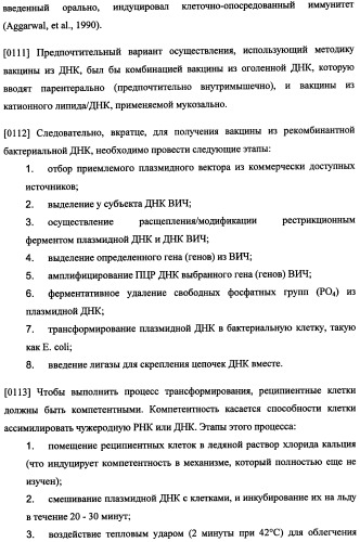 Иммуногенная композиция и способ разработки вакцины, основанной на участках матричного белка вич (патент 2403915)