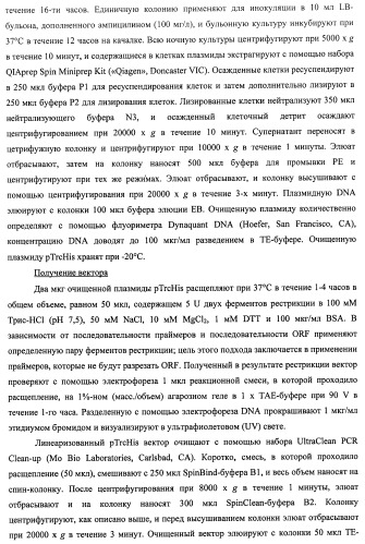 Гены и белки brachyspira hyodysenteriae и их применение (патент 2440369)