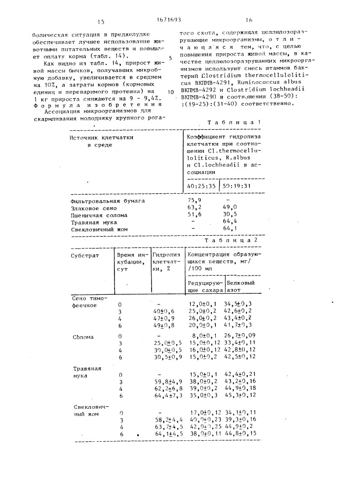 Ассоциация микроорганизмов для скармливания молодняку крупного рогатого скота (патент 1671693)