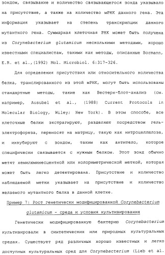 Гены corynebacterium glutamicum, кодирующие белки метаболических путей (патент 2306339)