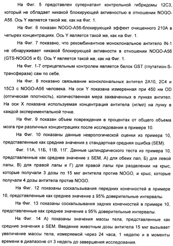 Nogo-a-нейтрализующие иммуноглобулины для лечения неврологических заболеваний (патент 2362780)