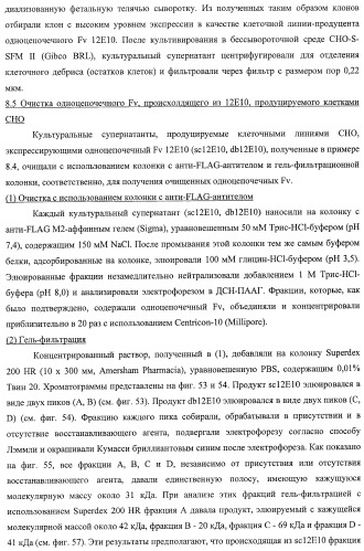 Агонистическое соединение, способное специфически узнавать и поперечно сшивать молекулу клеточной поверхности или внутриклеточную молекулу (патент 2430927)