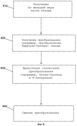 Виртуальные наборы фрагментов нуклеотидных последовательностей (патент 2390561)