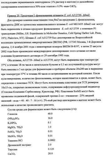 Способ получения l-треонина с использованием бактерии, принадлежащей к роду escherichia, в которой инактивирован кластер генов sfmacdfh-fimz или ген fimz (патент 2333953)