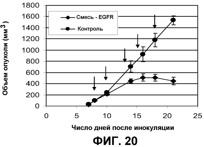 Композиции рекомбинантных антител против рецептора эпидермального фактора роста (патент 2488596)