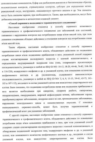 Способ получения фактора, связанного с контролем над потреблением пищи и/или массой тела, полипептид, обладающий активностью подавления потребления пищи и/или прибавления в весе, молекула нуклеиновой кислоты, кодирующая полипептид, способы и применение полипептида (патент 2418002)