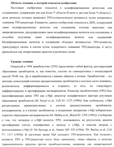 Днк, кодирующая модифицированное антитело или соединение с активностью агониста тро, способ их получения и животная клетка или микроорганизм, их продуцирующие (патент 2422528)
