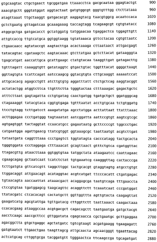 Бактериофаг, обладающий активностью против pseudomonas aeruginosa, белки бактериофага и способы их применения (патент 2580248)