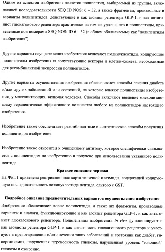 Пептиды, действующие как агонисты рецептора glp-1 и как антагонисты глюкагонового рецептора, и фармакологические способы их применения (патент 2334761)