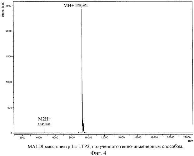 Плазмидный вектор pe-lc-ltp, штамм бактерии escherichia coli для экспрессии липид-транспортирующих белков чечевицы lens culinaris и способ получения указанных белков (патент 2415940)