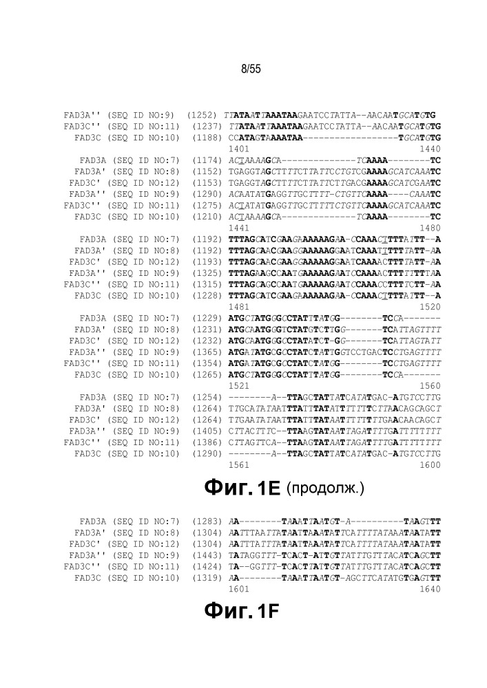 Локусы fad3 для выполнения операций и соответствующие связывающиеся со специфическими сайтами-мишенями белки, способные к вызову направленных разрывов (патент 2665811)