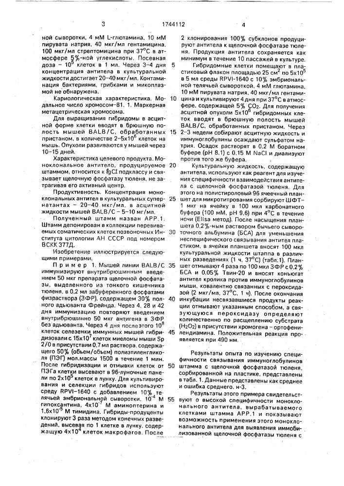 Штамм гибридных культивируемых клеток животных mus мusсulus l - продуцент моноклонального антитела к щелочной фосфатазе тюленя (патент 1744112)