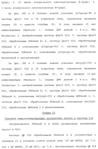 Композиции, содержащие cpg-олигонуклеотиды и вирусоподобные частицы, для применения в качестве адъювантов (патент 2322257)