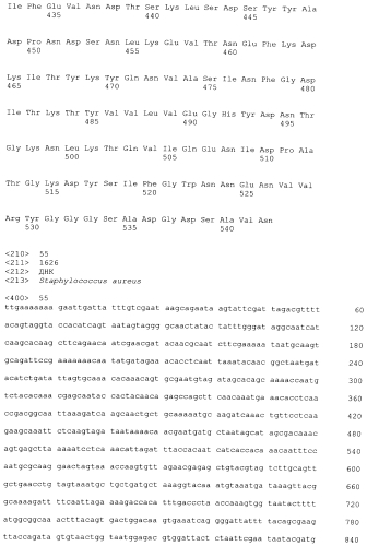 Стабильные иммуногенные композиции антигенов staphylococcus aureus (патент 2570730)