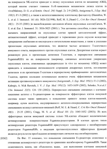 Конструкции слияния и их применение для получения антител с повышенными аффинностью связывания fc-рецептора и эффекторной функцией (патент 2407796)