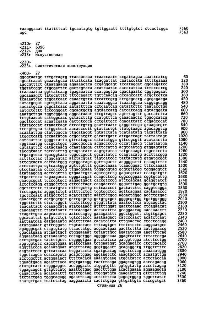 Векторы для экспрессии простатоассоциированных антигенов (патент 2650860)