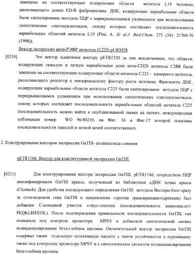 Конструкции слияния и их применение для получения антител с повышенными аффинностью связывания fc-рецептора и эффекторной функцией (патент 2407796)