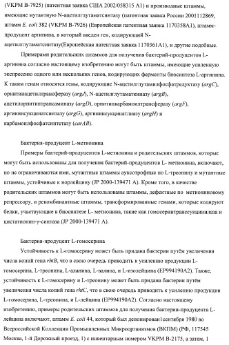 Бактерия семейства enterobacteriaceae - продуцент l-аспарагиновой кислоты или метаболитов, производных l-аспарагиновой кислоты, и способ получения l-аспарагиновой кислоты или метаблитов, производных l-аспарагиновой кислоты (патент 2472853)