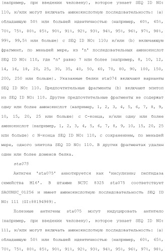 Композиции для иммунизации против staphylococcus aureus (патент 2508126)