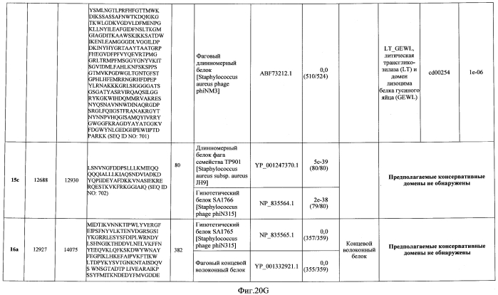 Бактериофаг, обладающий активностью против pseudomonas aeruginosa, белки бактериофага и способы их применения (патент 2580248)