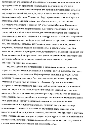 Способы и композиции для экспрессии антисмысловой вирусной рнк в клетках собаки (патент 2457250)