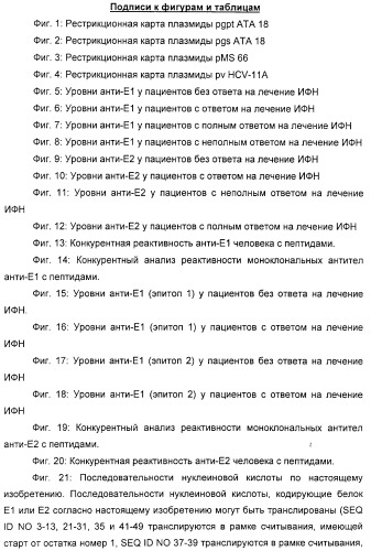 Очищенные белки оболочки вируса гепатита с для диагностического и терапевтического применения (патент 2313363)