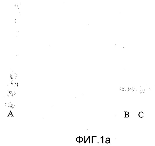 Конъюгаты гидроксиалкилкрахмала и g-csf (патент 2370281)