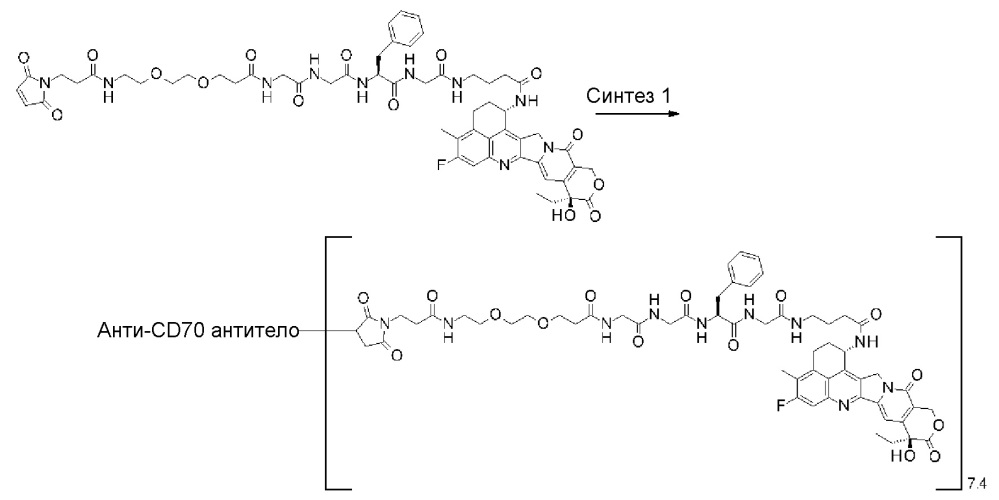 Конъюгат антитело-лекарственное средство (патент 2664465)