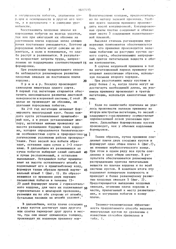 Способ ведения виноградных кустов "новочеркасский (патент 1602415)