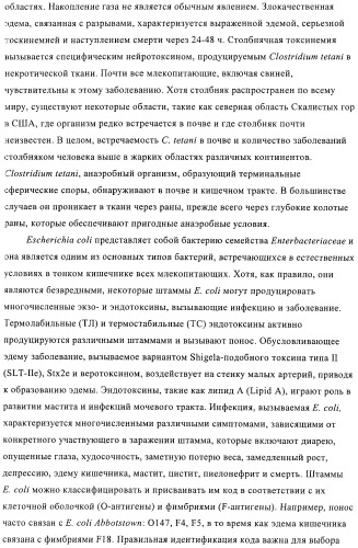 Иммуногенные композиции, содержащие lawsonia intracellularis (патент 2443430)