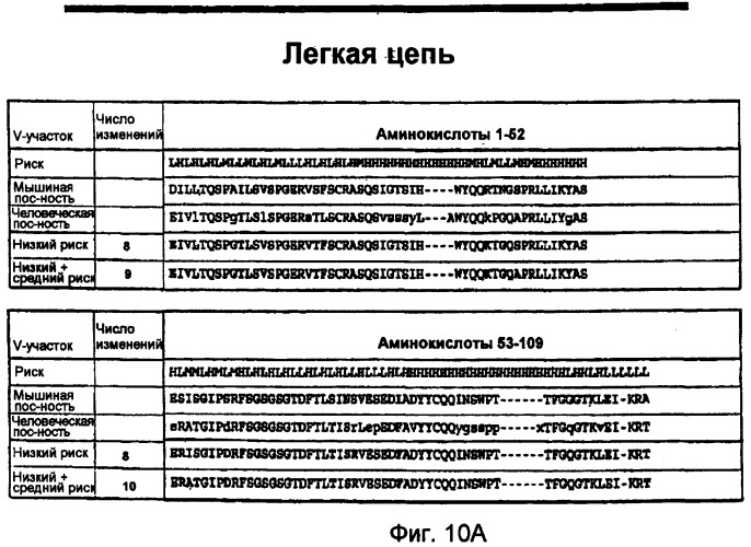 Способы профилактики и лечения ракового метастаза и разрежения кости, связанного с раковым метастазом (патент 2470665)