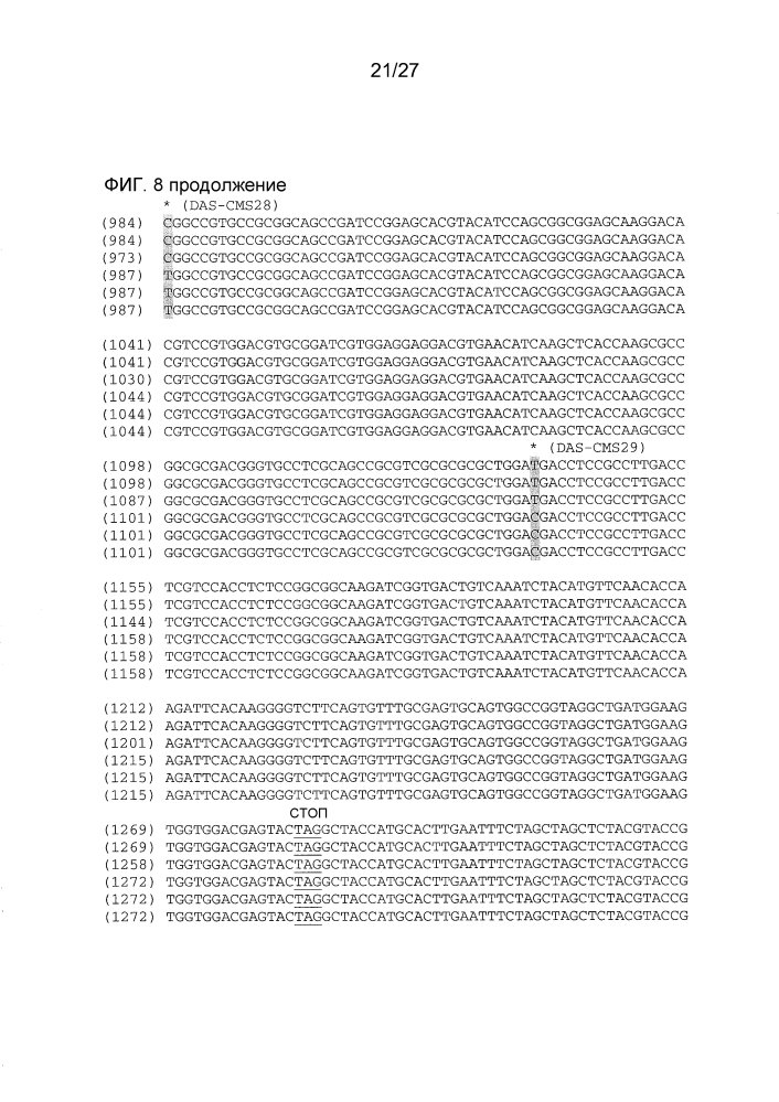 Ген-восстановитель rf4 для цитоплазматической мужской стерильности (cms) c-типа кукурузы, молекулярные маркеры и их применение (патент 2603005)