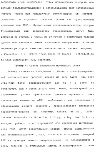 Гены corynebacterium glutamicum, кодирующие белки метаболических путей (патент 2306339)