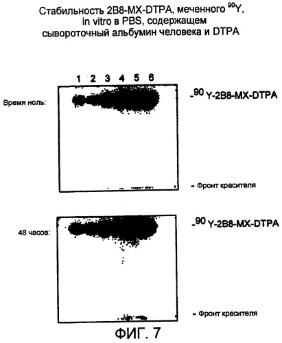 Набор для радиоактивного мечения и анализ связывания (патент 2251110)