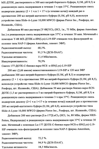 Избирательный направленный перенос в сосудистую сеть опухоли с использованием молекул антител (патент 2347787)