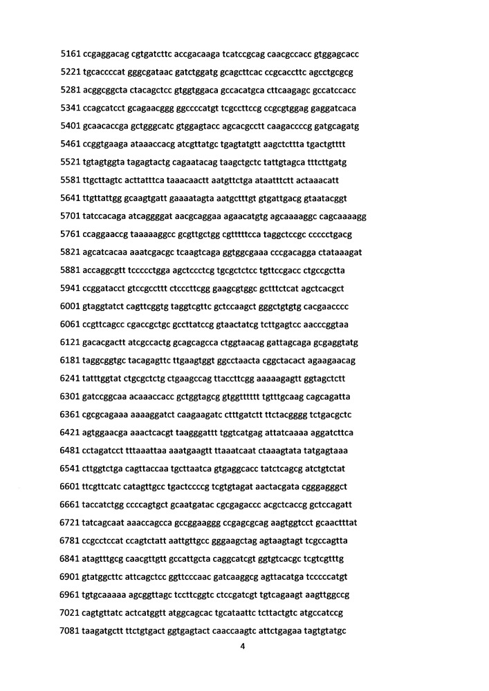 Генетическая конструкция pmitoascpf1, кодирующая нуклеазу ascpf1 с детерминантной импорта в митохондрии клеток человека (патент 2662994)