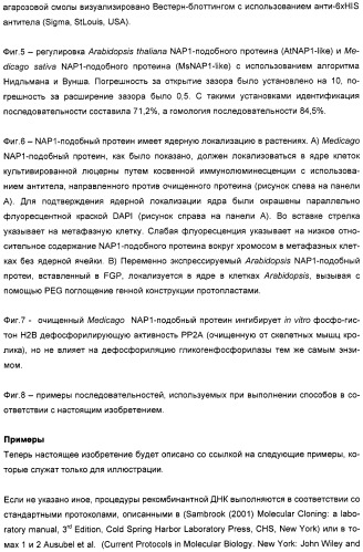 Способ повышения выхода семян растения, способ производства трансгенного растения, имеющего повышенную урожайность семян, генная конструкция для экспрессии в растении и трансгенное растение (патент 2409938)