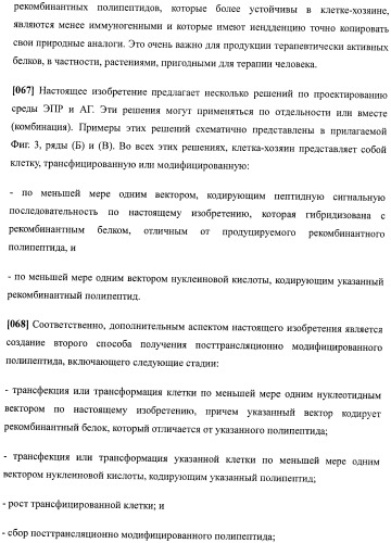 Набор последовательностей для таргетинга экспрессии и контроля посттрансляционных модификаций рекомбинантного полипептида (патент 2481399)