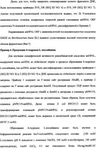 Новая альдолаза, днк, кодирующая альдолазу, клетки, трансформированные днк, способ получения альдолазы и способ получения 4-гидрокси-l-изолейцина (варианты) (патент 2338784)