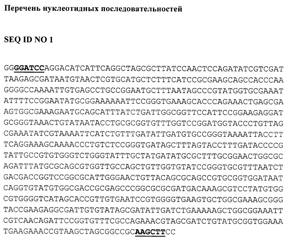 Рекомбинантный продуцент омега-амидазы человека nit2 на основе escherichia coli (патент 2642323)