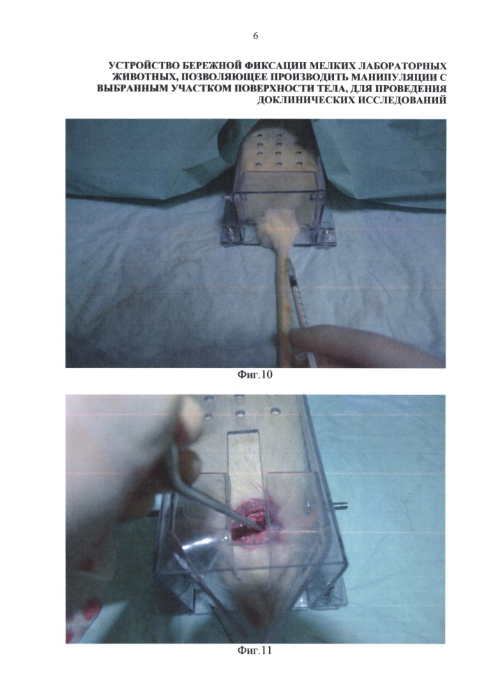 Устройство бережной фиксации мелких лабораторных животных, позволяющее производить манипуляции с выбранным участком поверхности тела, для проведения доклинических исследований (патент 2633781)