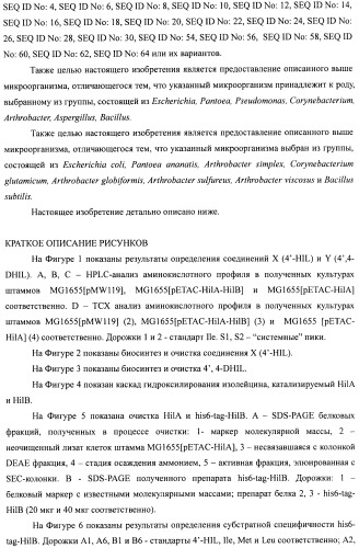 Способ получения гидроксилированной аминокислоты (варианты) и микроорганизм, трансформированный днк, кодирующей диоксигеназу (патент 2460779)