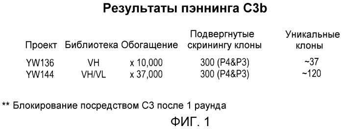 Антитела против c3b и способы профилактики и лечения связанных с комплементом нарушений (патент 2473563)