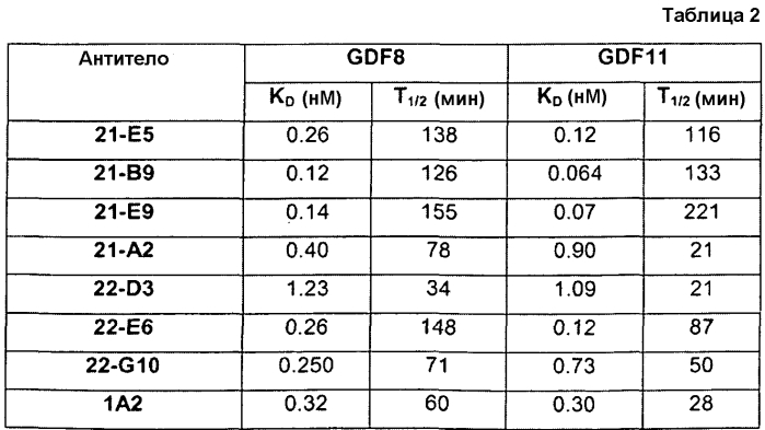 Антитела против gdf8 человека (патент 2567805)