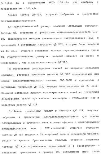 Композиции, содержащие cpg-олигонуклеотиды и вирусоподобные частицы, для применения в качестве адъювантов (патент 2322257)